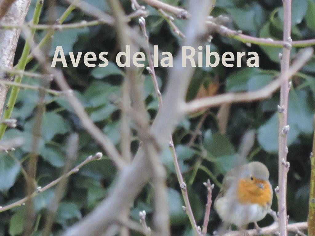 Affittacamere El Retiro De Isabel Embid de la Ribera Esterno foto
